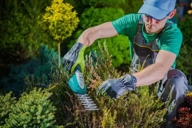 landscaping services Morrice